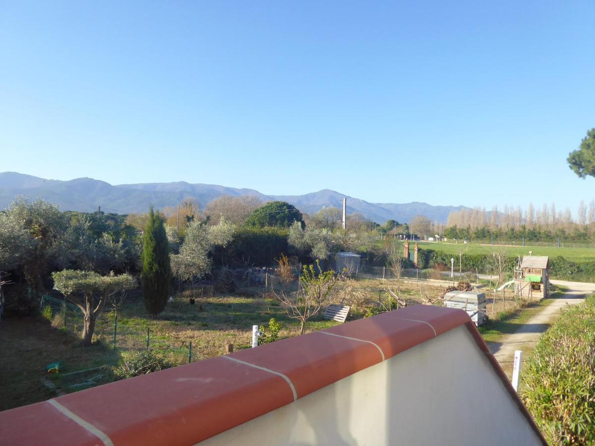 Mas Picton Hotel Argeles-sur-Mer Bagian luar foto