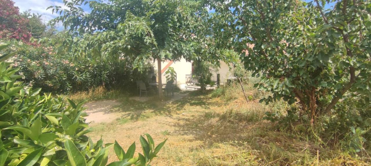 Mas Picton Hotel Argeles-sur-Mer Bagian luar foto