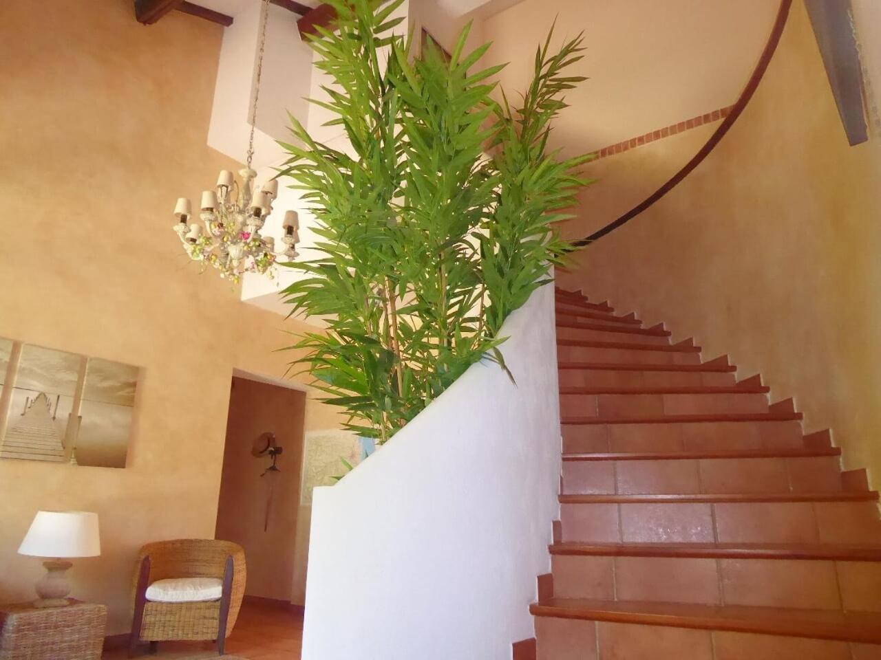 Mas Picton Hotel Argeles-sur-Mer Bagian luar foto
